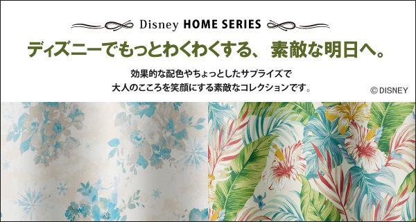 ディズニーホームシリーズ