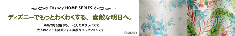 ディズニーホームシリーズ