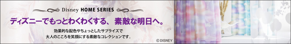 ディズニーホームシリーズ